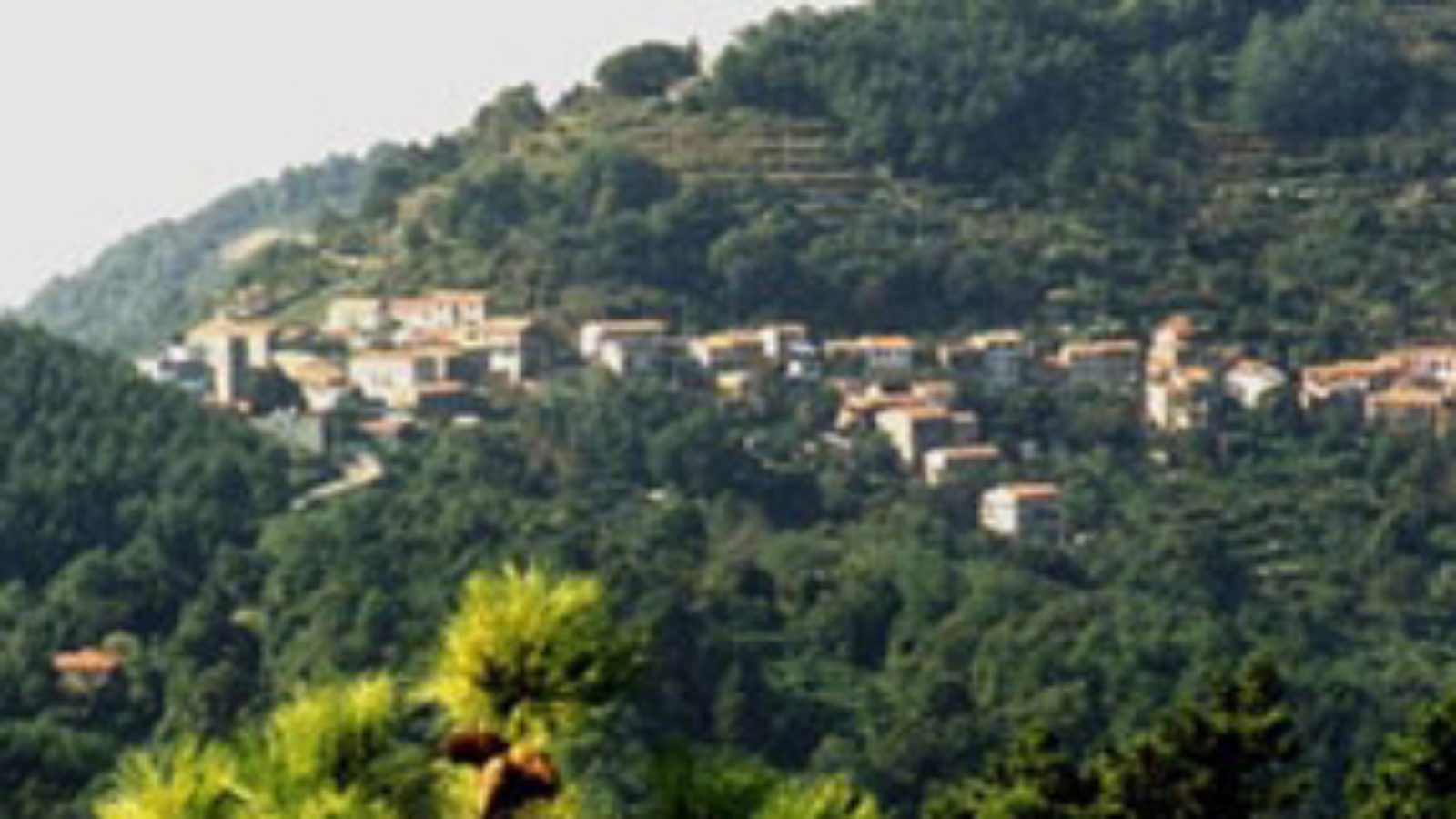 Associazione Campiglia