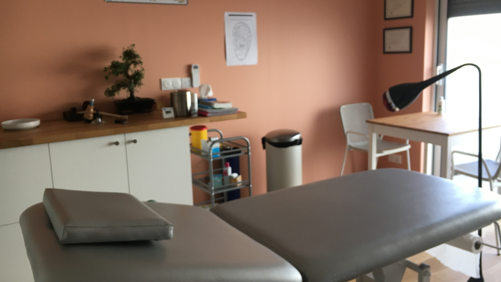 Christine Tomasini Acupuncture Toulouse
