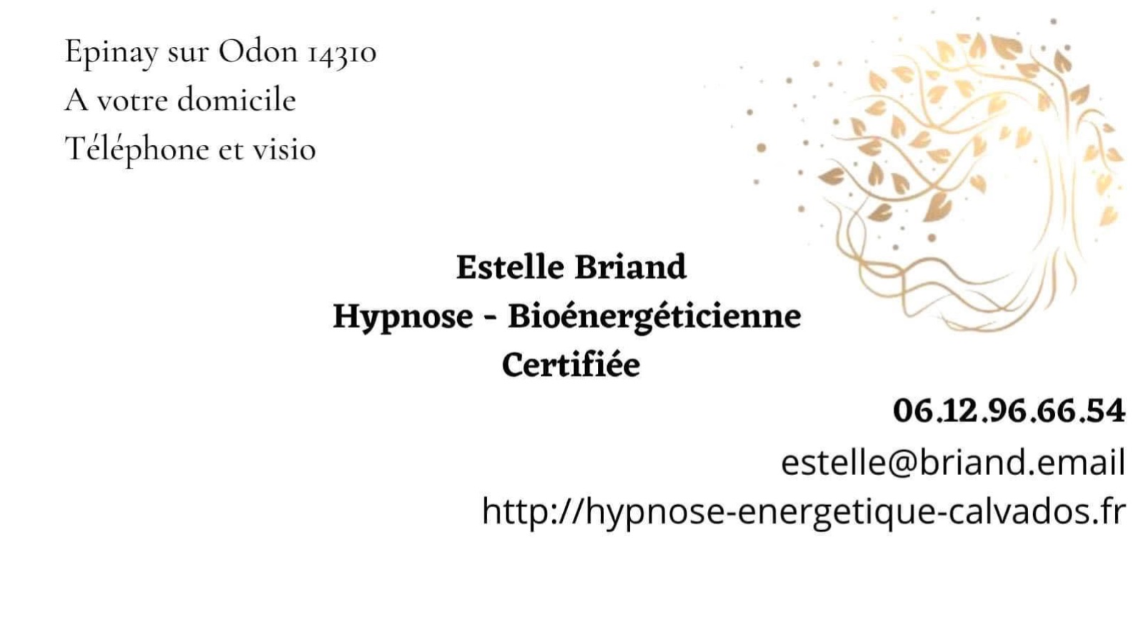 Estelle briand Bioénergéticienne Hypnotherapeute