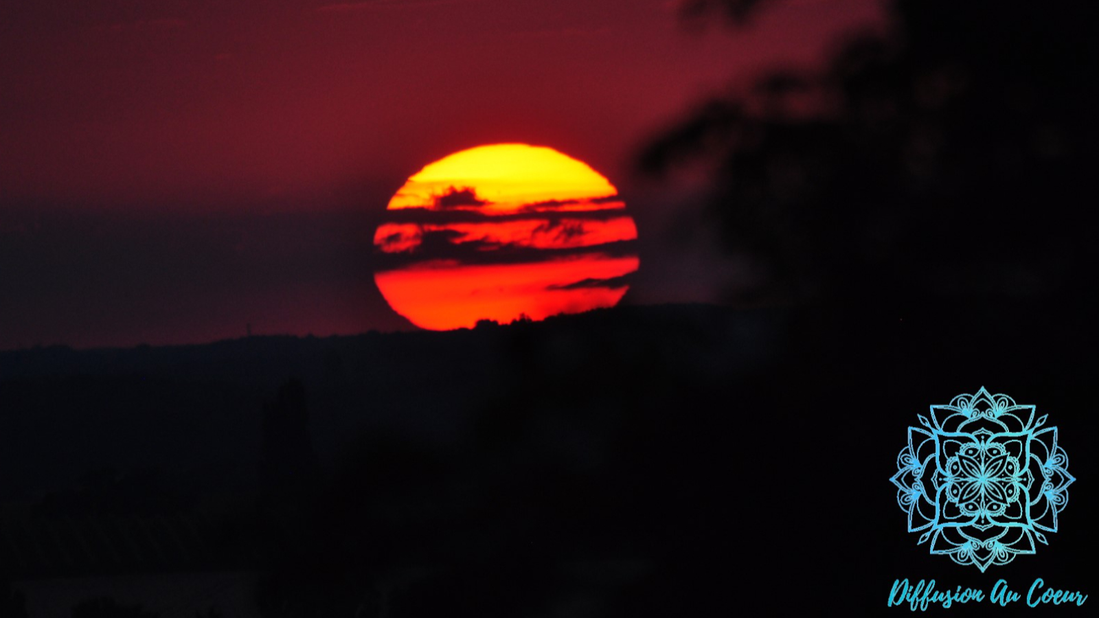 Diffusion Au Cœur