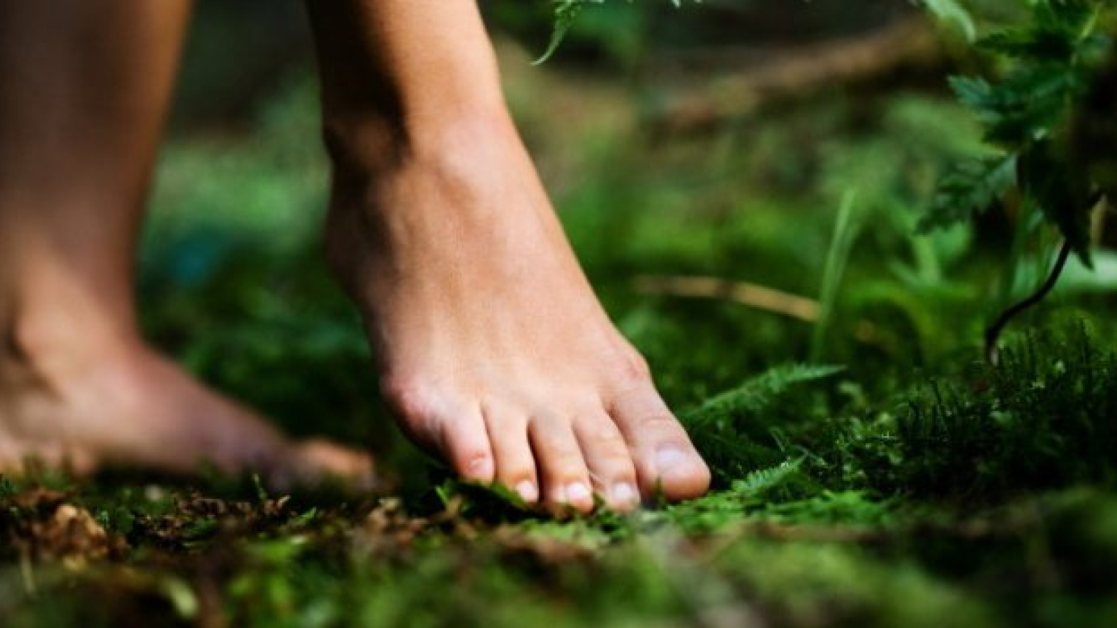 CAROLE VERDON REFLEXOLOGUE