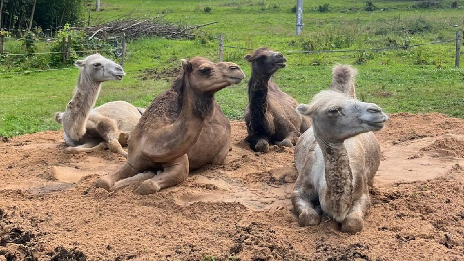 Rodinná farma Vlček