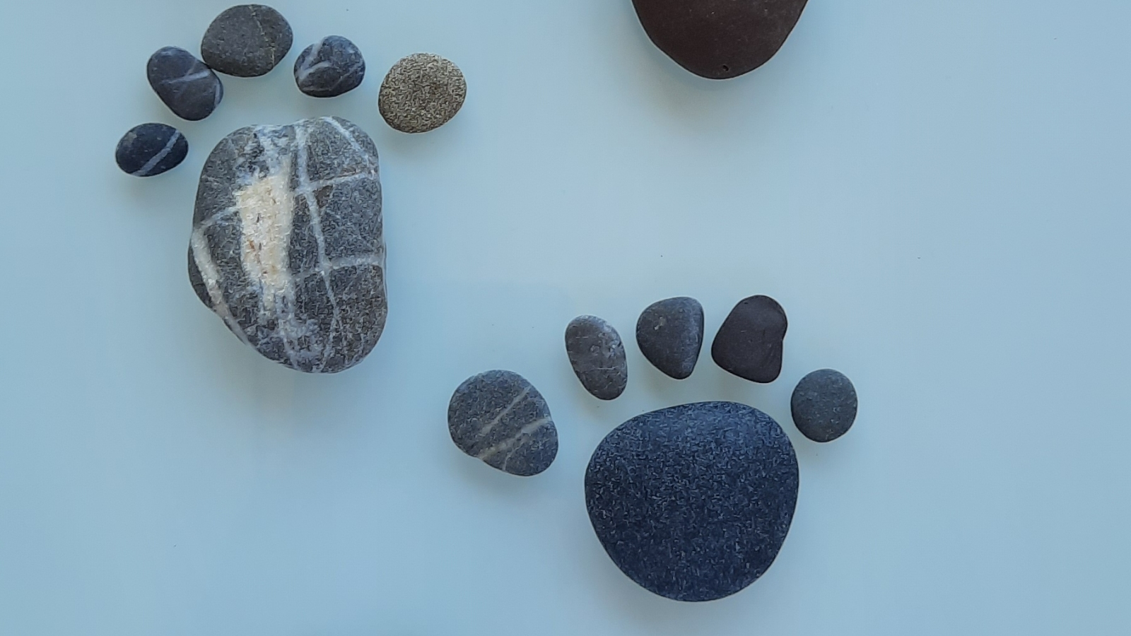 Mgr Dagmar Svobodová