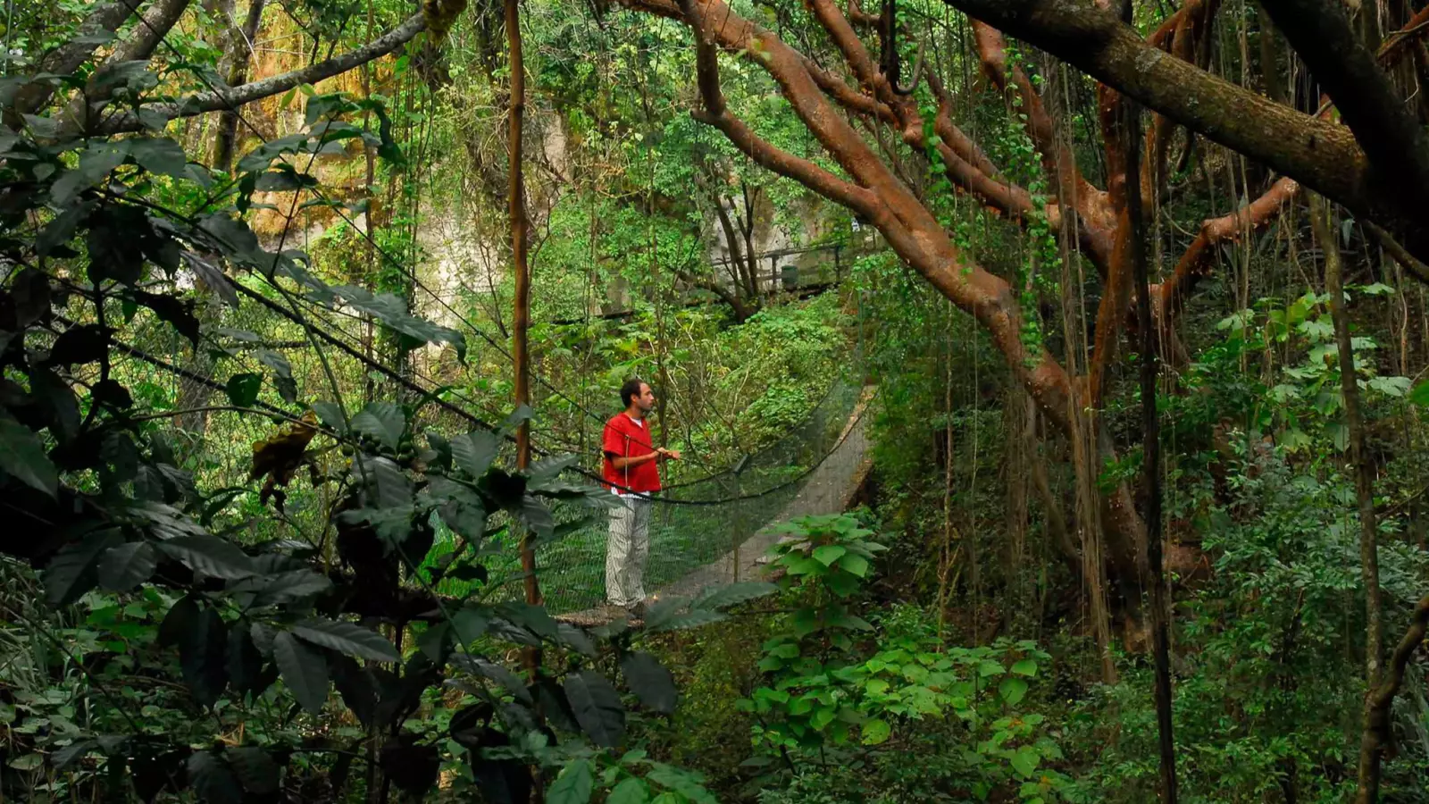 Reserva Natural Atitlán