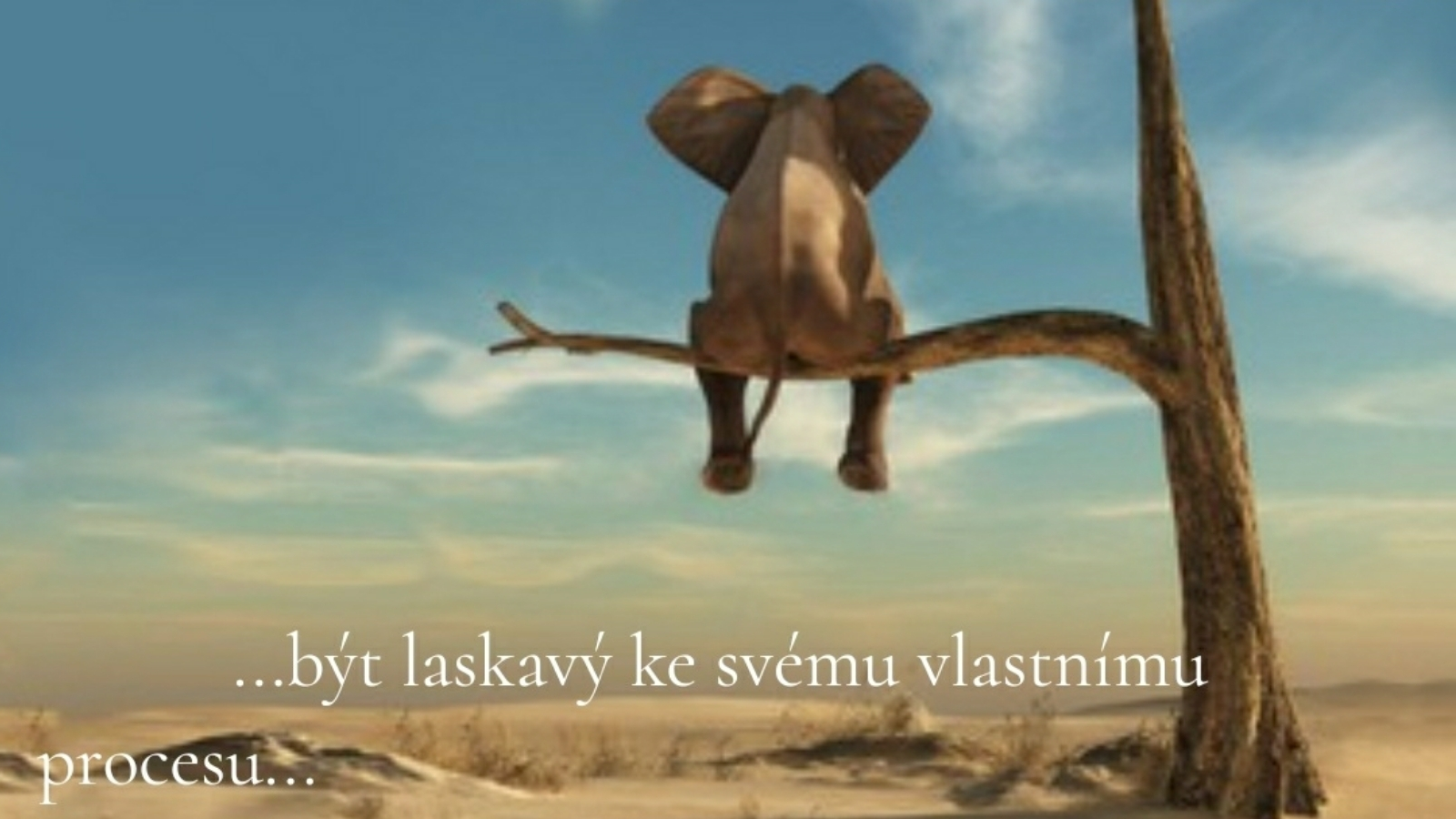 Semináře a konstelace Životní principy