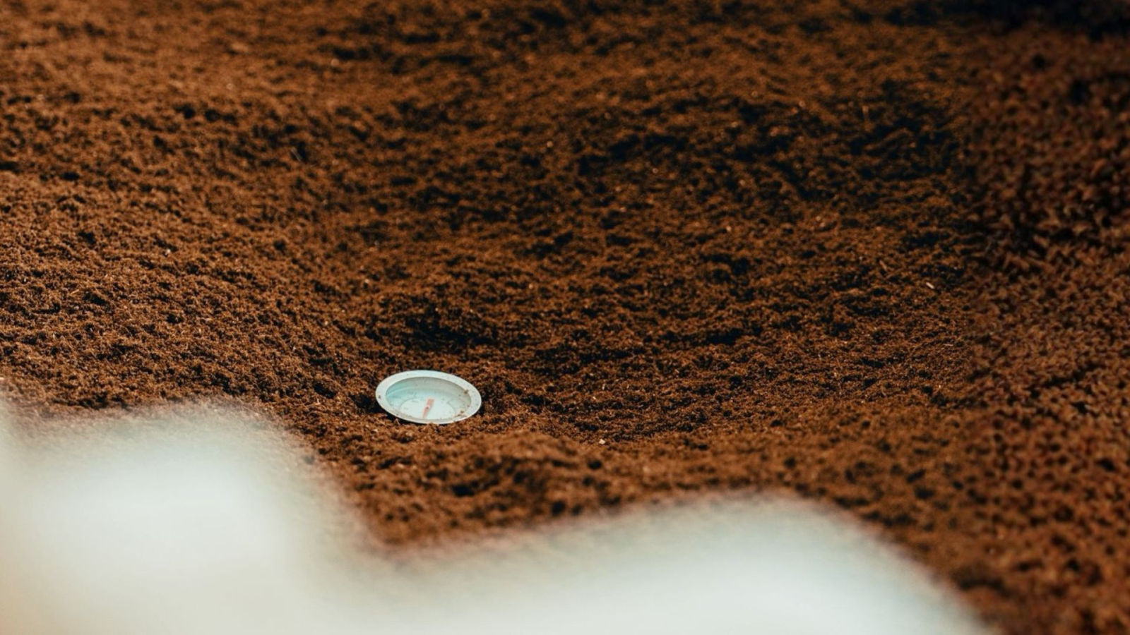 Rezidence Vinohrady | byFEMME