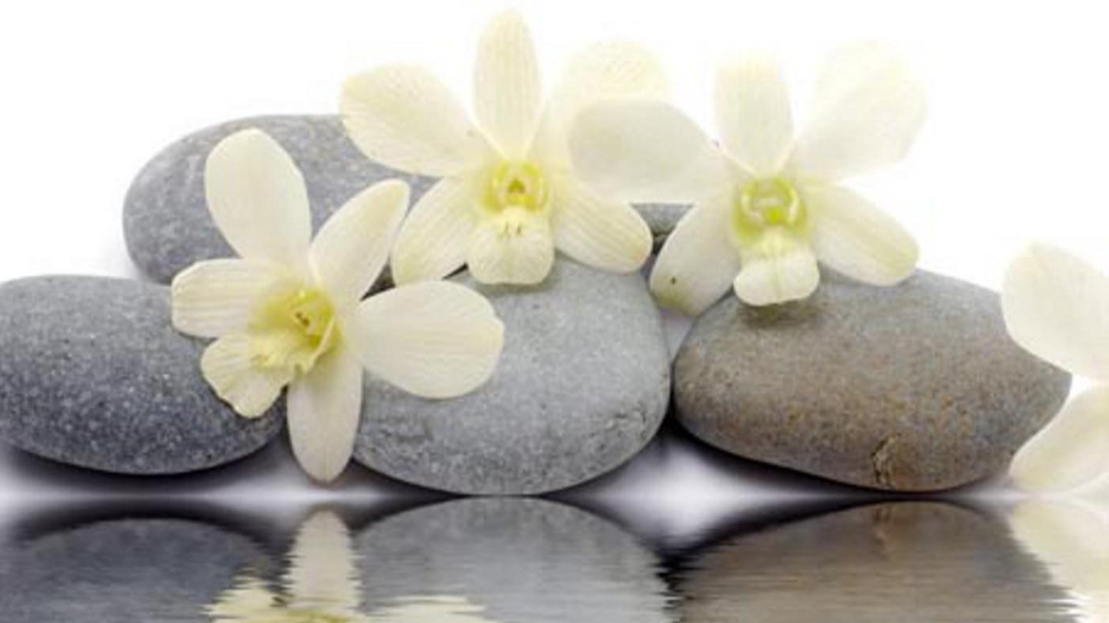 yael romain sport kinésiologie massage