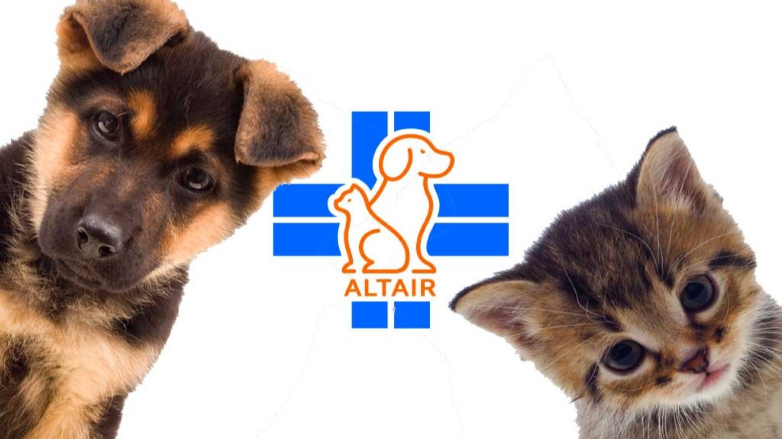 Ambulatorio Veterinario ALTAIR