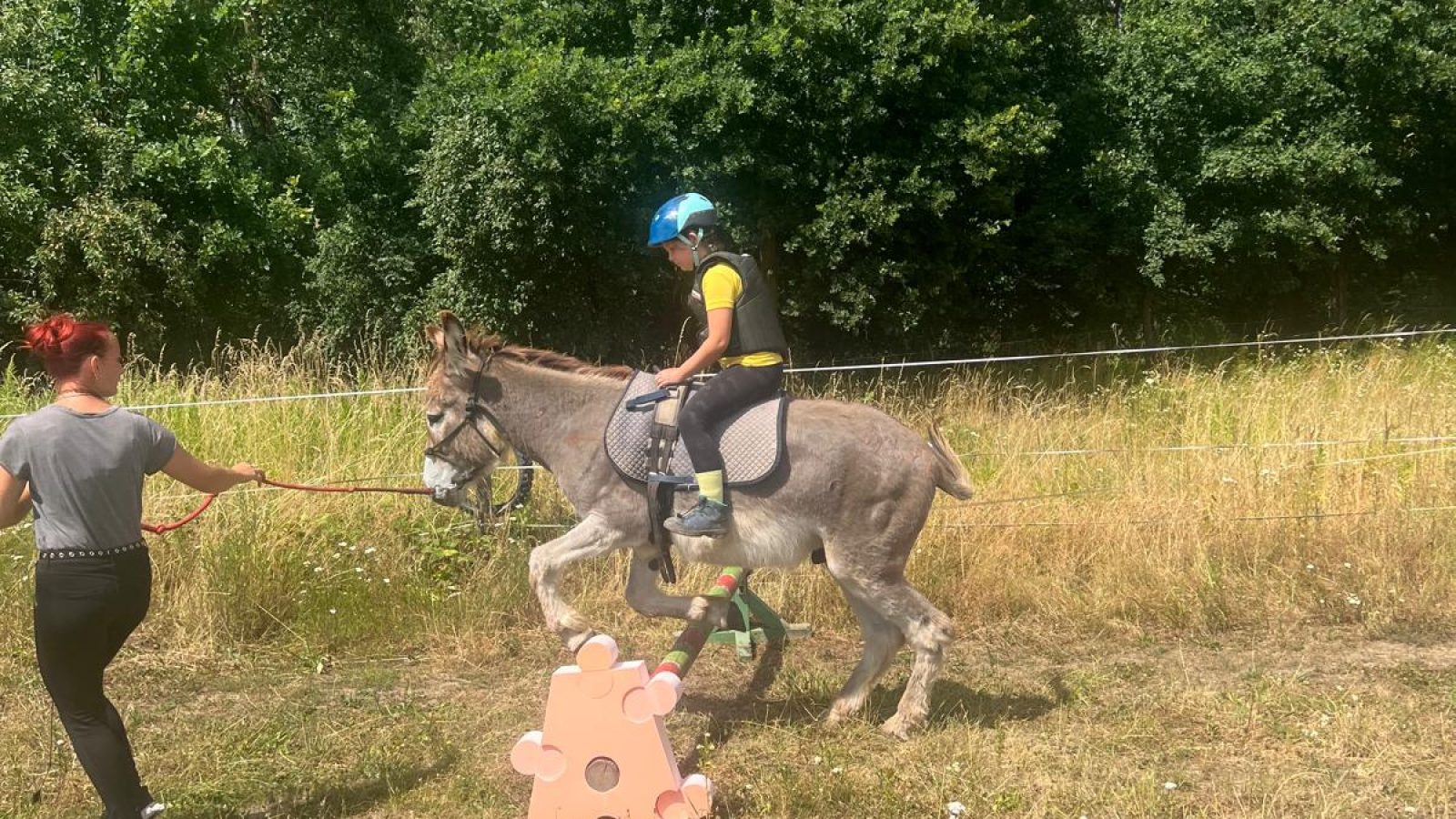 Minifarmička u Čika