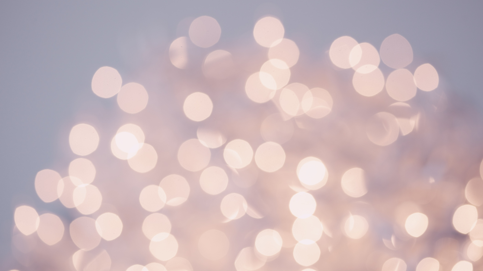 Lucie Borák Jandová