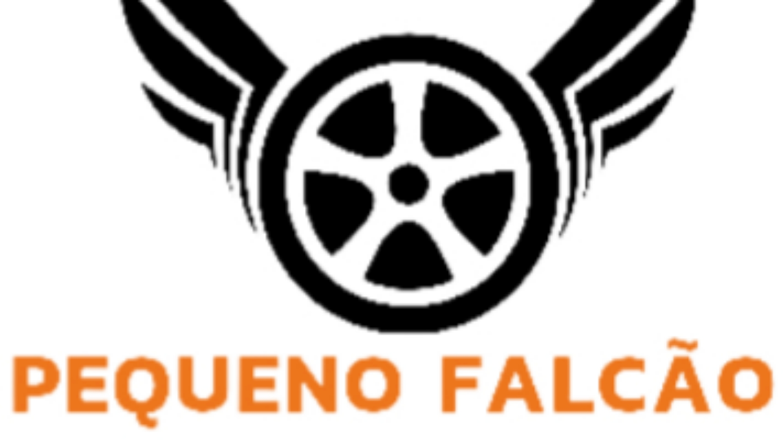 Pequeno Falcão estética automotiva e lava rápido