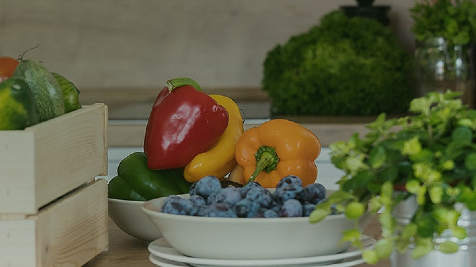 Mgr. Kateřina Filípková - Metabolic Balance® poradce