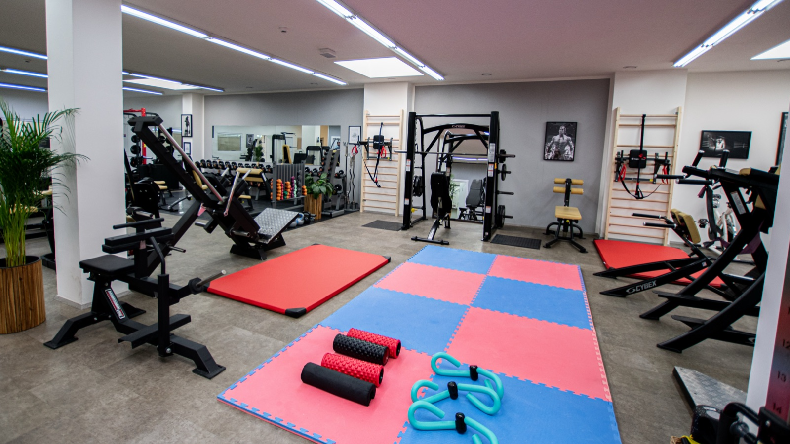 Adams Family Gym