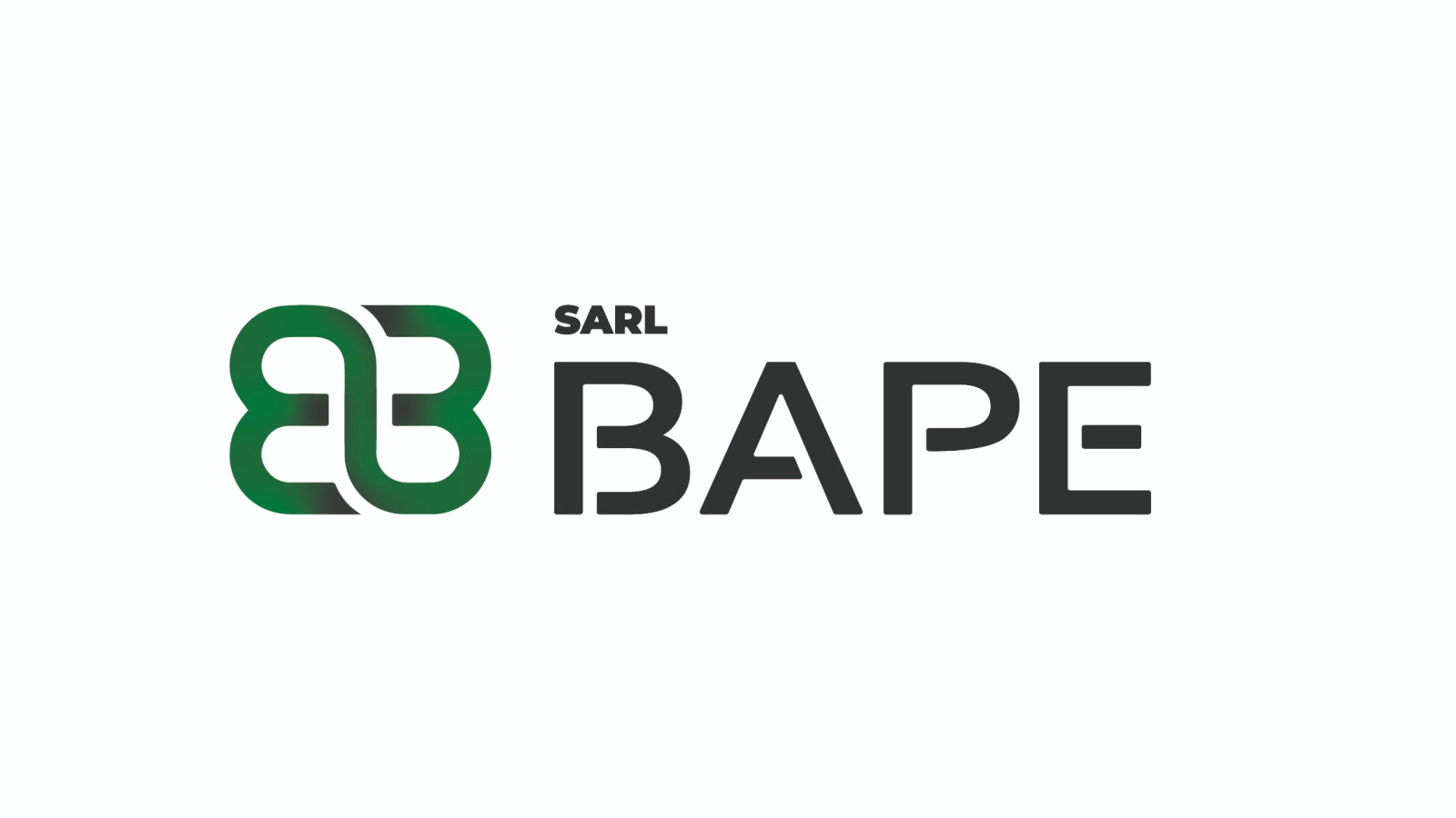 Baudouin Audit Prévention et Expertise  (BAPE)