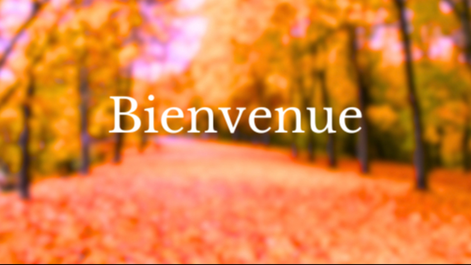 Les paillettes de Julie