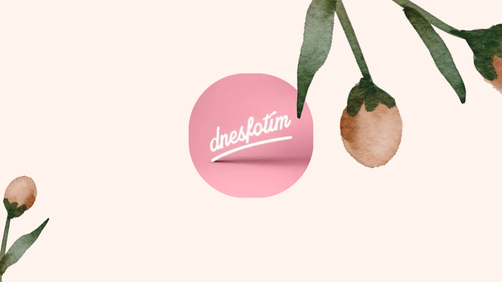 Dnesfotiim