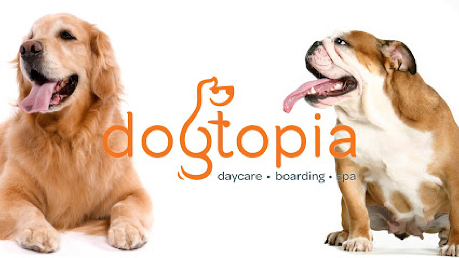 Dogtopia of Bethpage
