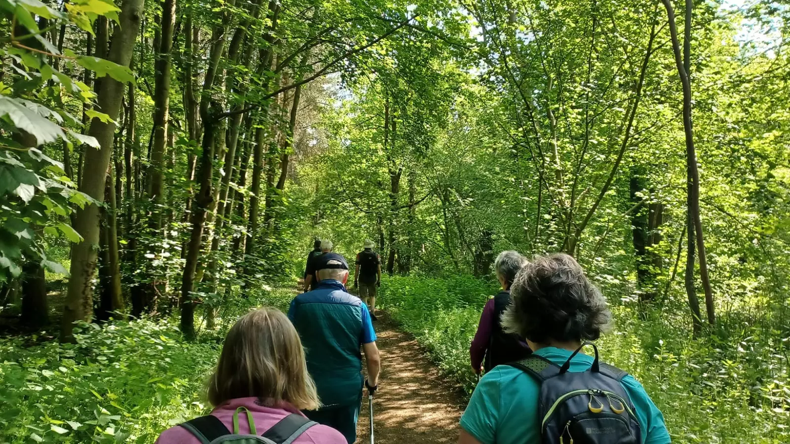 Positive Steps Nordic Walking