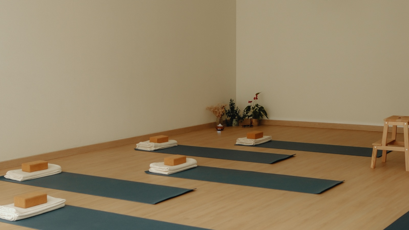 Nosso Shala - Estúdio de Yoga