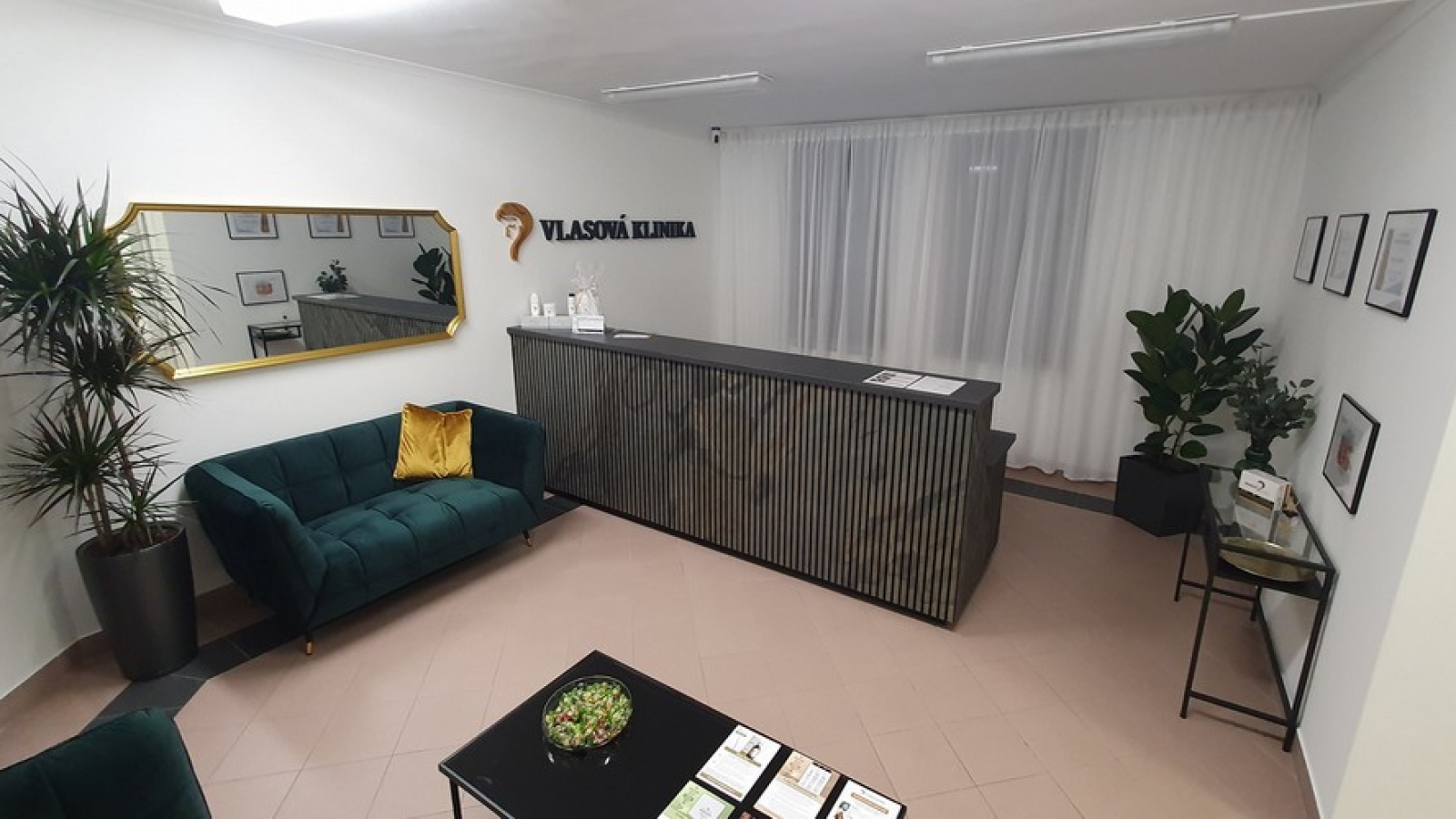 Vlasová klinika Beroun