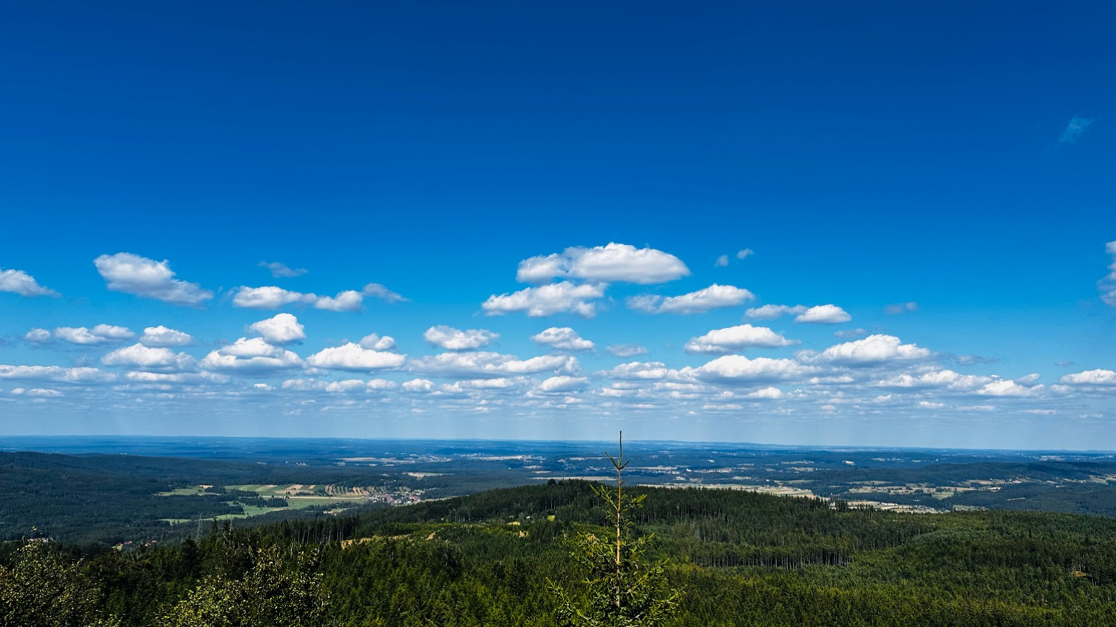 Dámské kadeřnictví