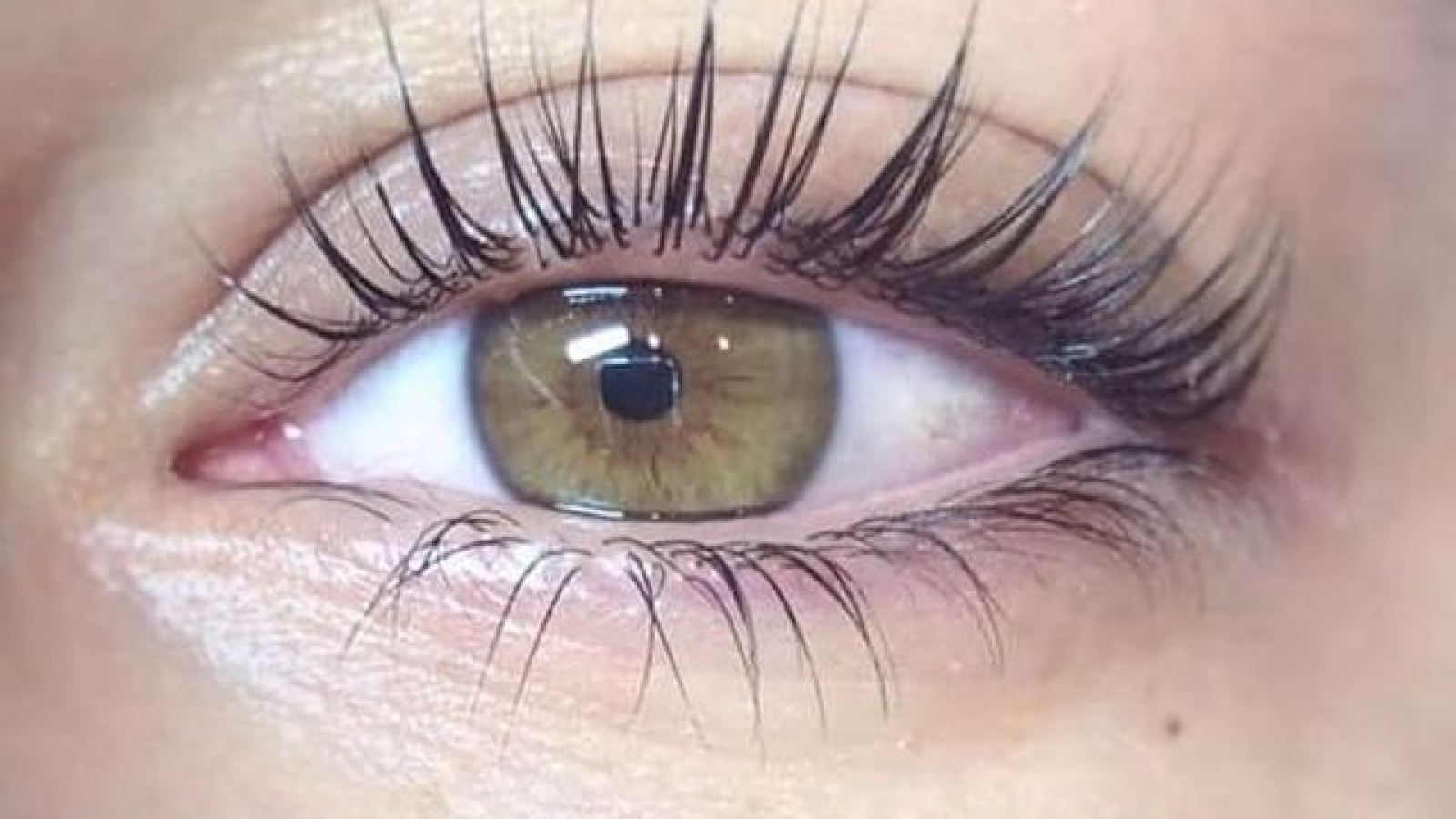 Lash&Brow Artist
