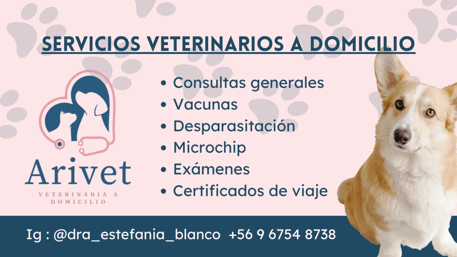 Arivet domicilios Veterinarios