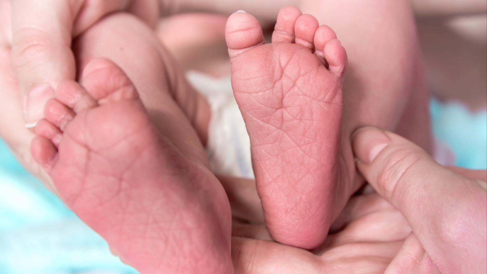 Fakultní nemocnice Brno - Neonatologické oddělení
