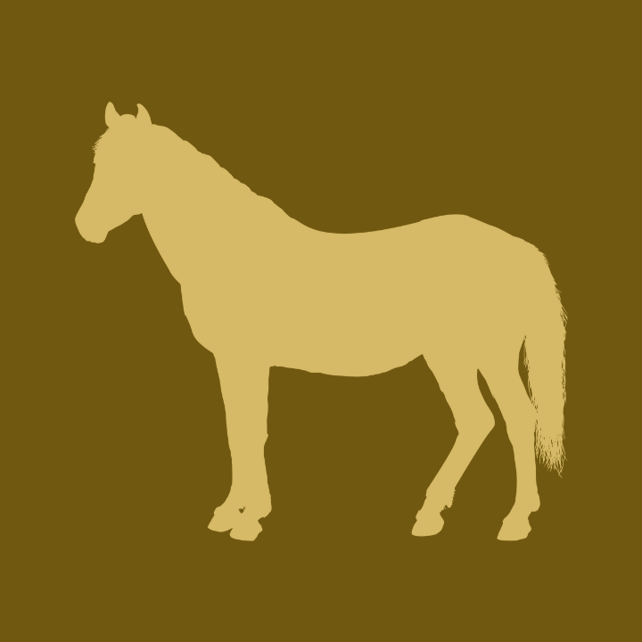 Cheval - Ostéopathie à domicile