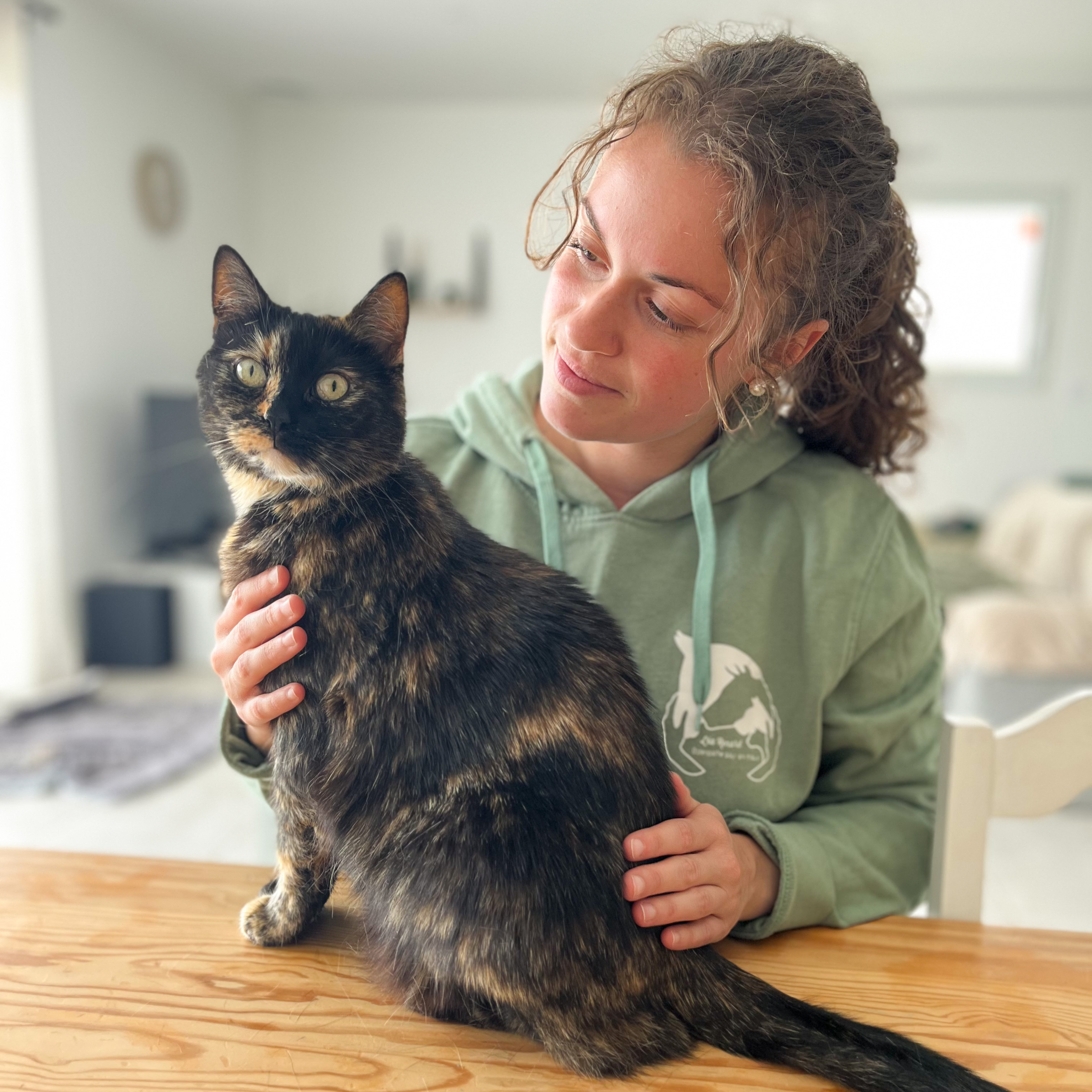 Consultation féline