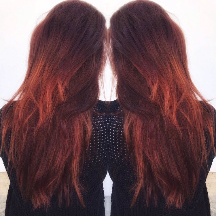 Barvení, střih, styling