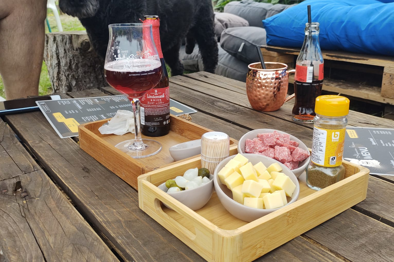 Picknicken tussen de alpaca's