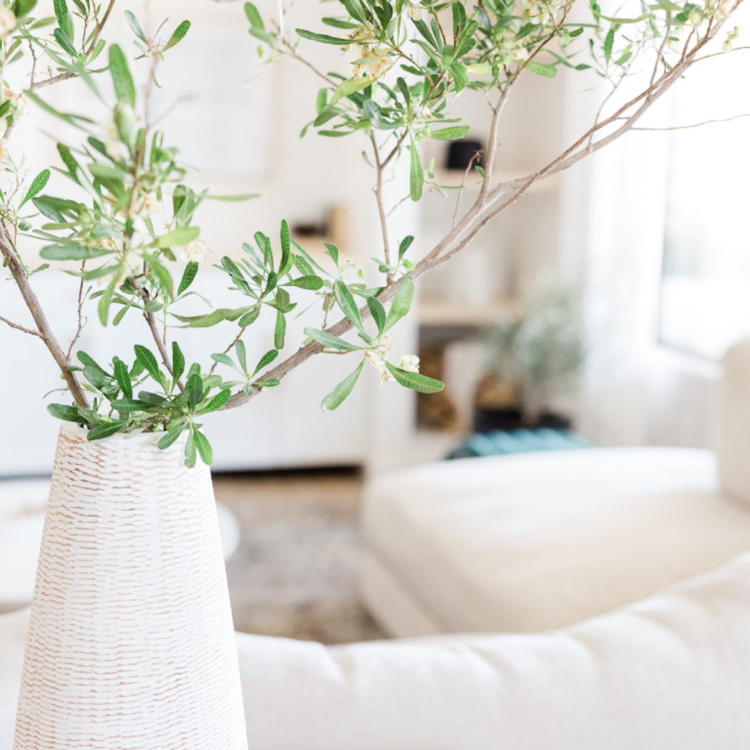 Nettoyage du lieu et de ses habitants