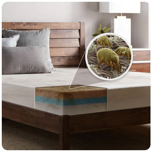 Higienização de Colchão (Qualquer Tamanho) + Oxi-Sanitização