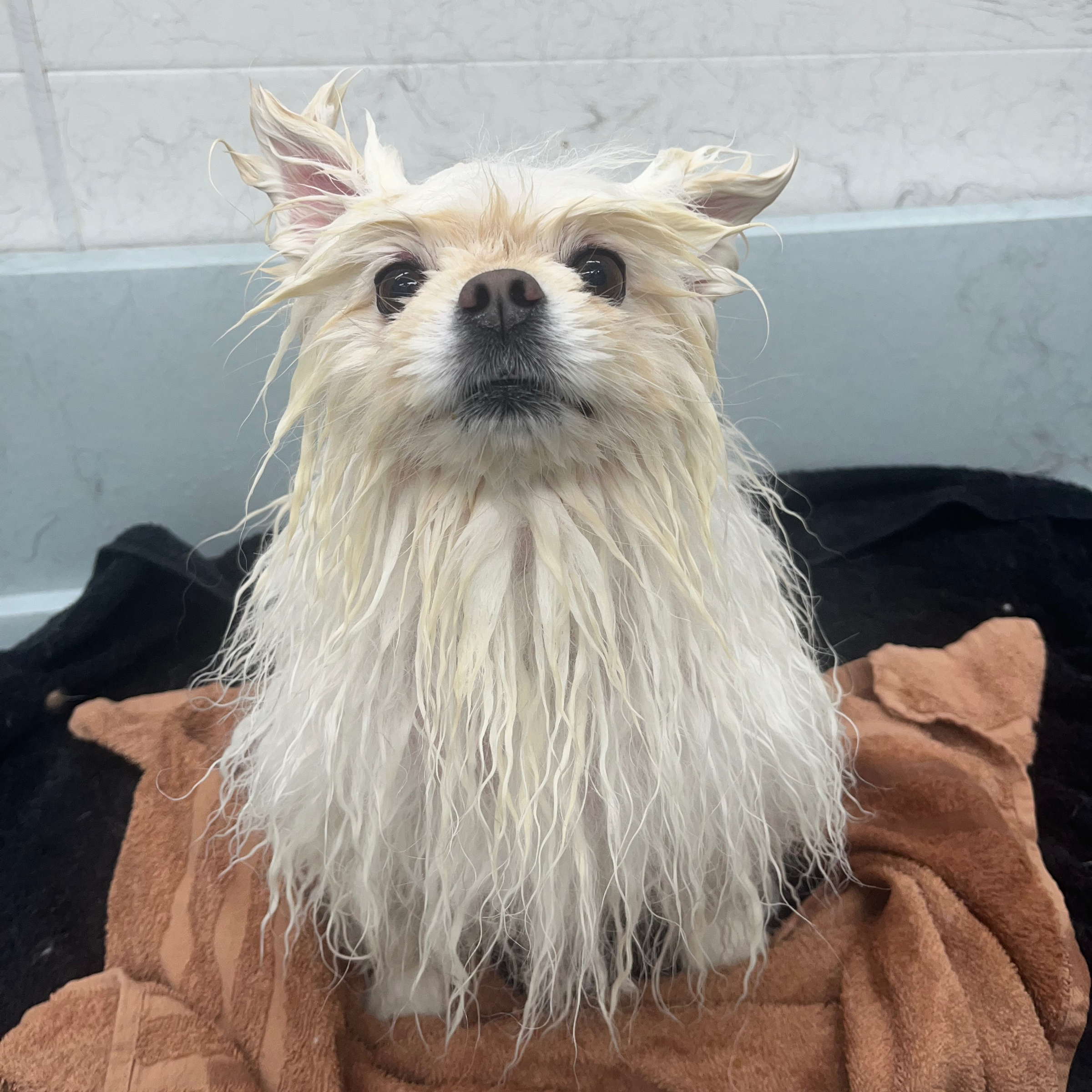 Koupel S/ Bad S- cena od 590,-/ab 24€