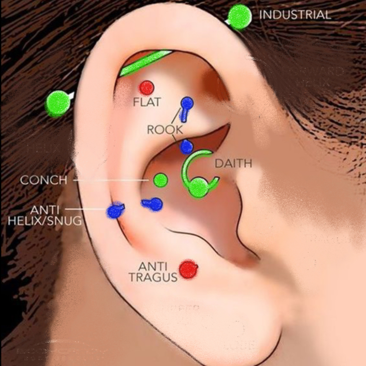 Piercing Conch / Daith / antitrago / Industrial / Rook