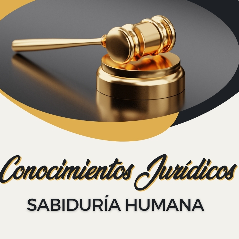 Debido proceso legal