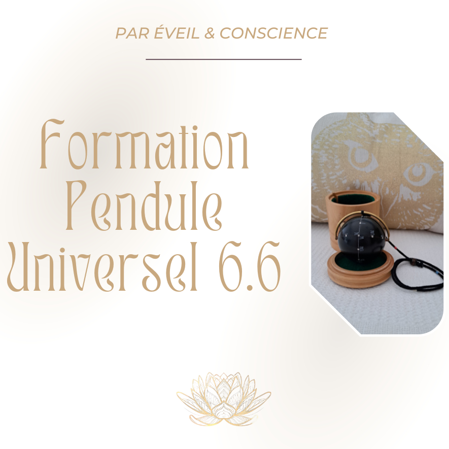 Formation Privée: Pendule Universel 6.6