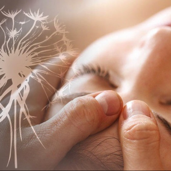 Soin Energétique /Magnétisme 1h30 / 90€