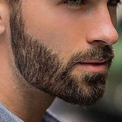 Aparar Barba simples