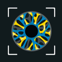 Photo d'iris 3 personnes et plus