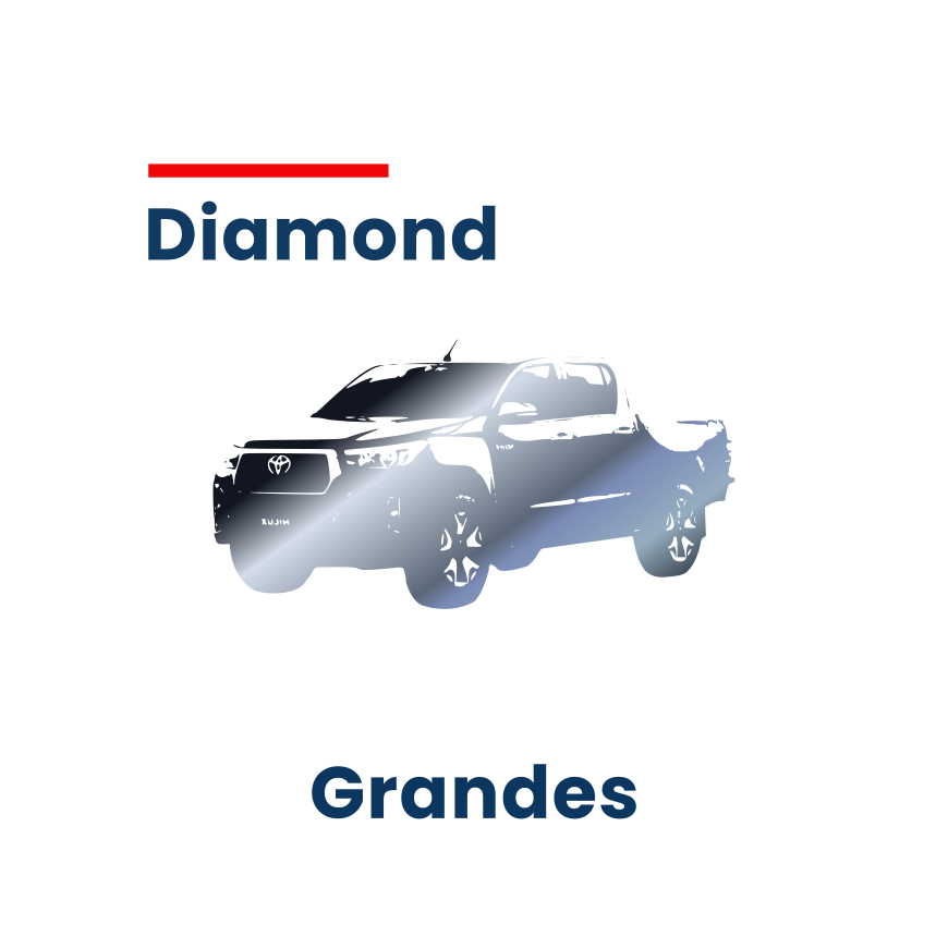 Lavagem Diamond - Grandes