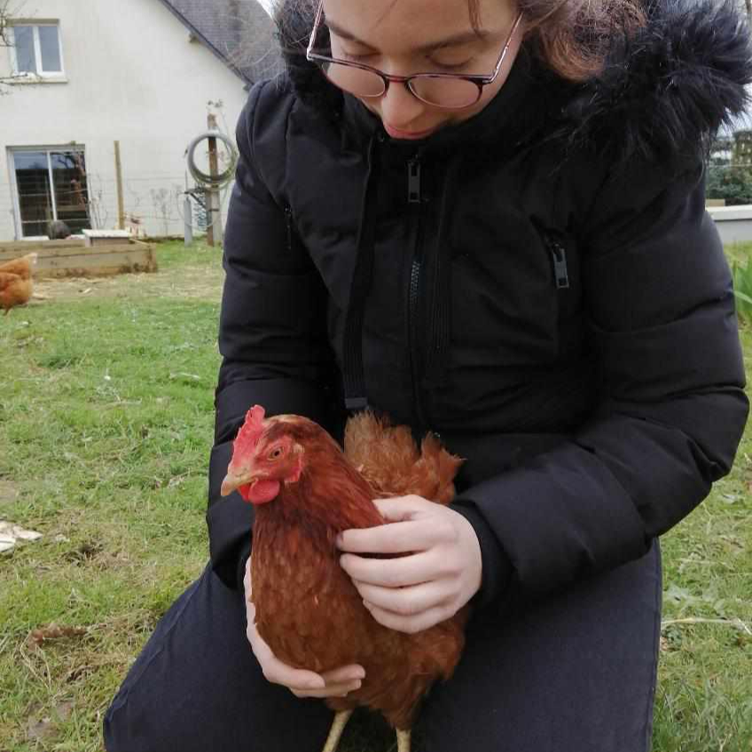 Consultation NACs au cabinet de Saint-Jouan-Des-Guérets