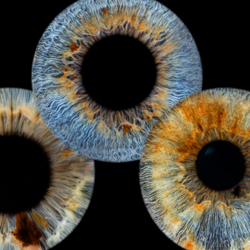 Séance IRIS en Trio (3 pers.)