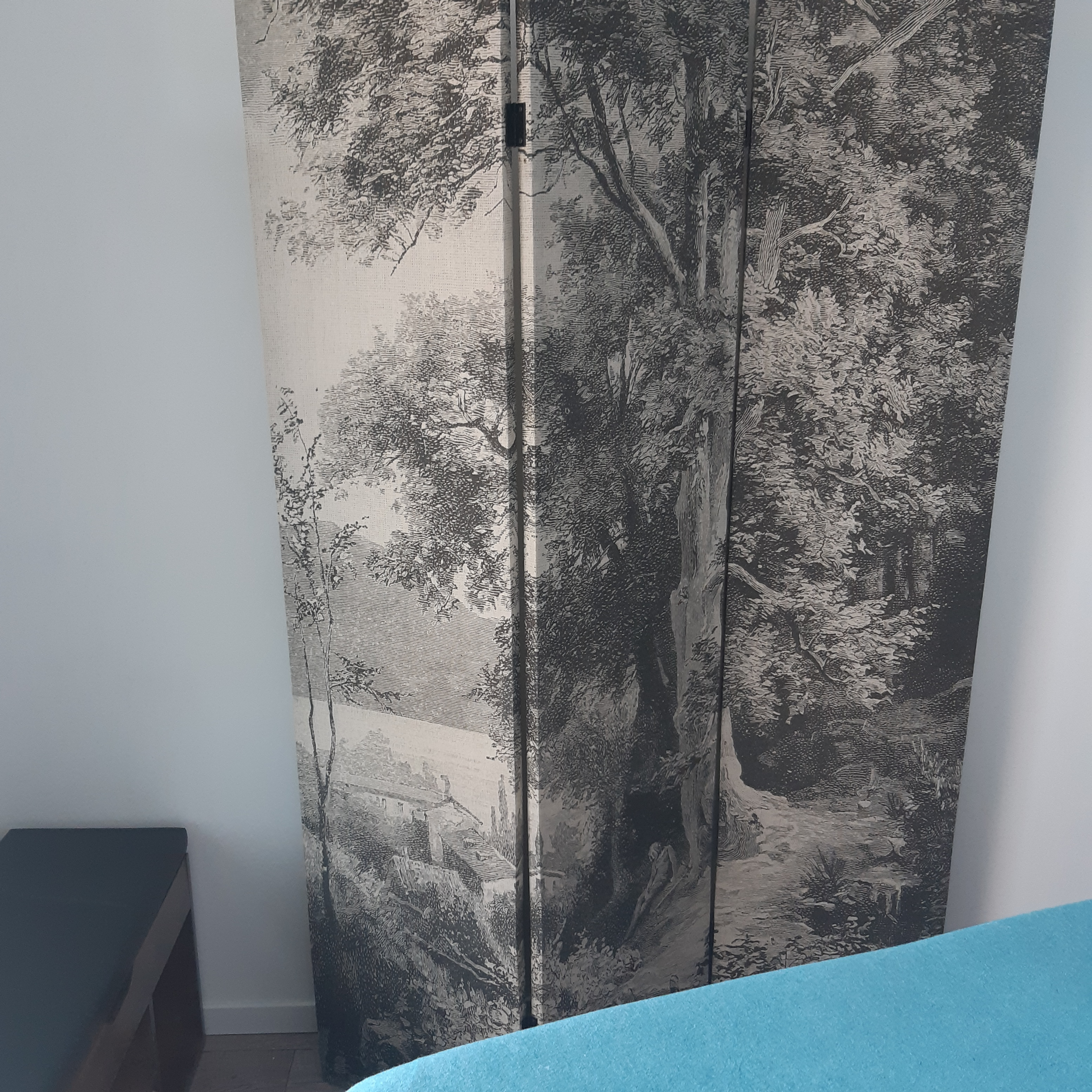 Massage (Durée 1h30)