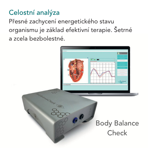 Konzultace Analýza těla - Body Balance Check - dospělí i děti