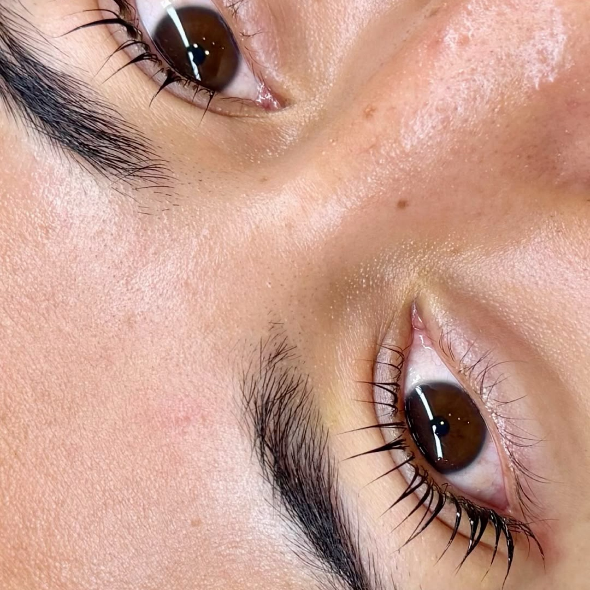Lash Lifting