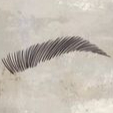 Epilation sourcils