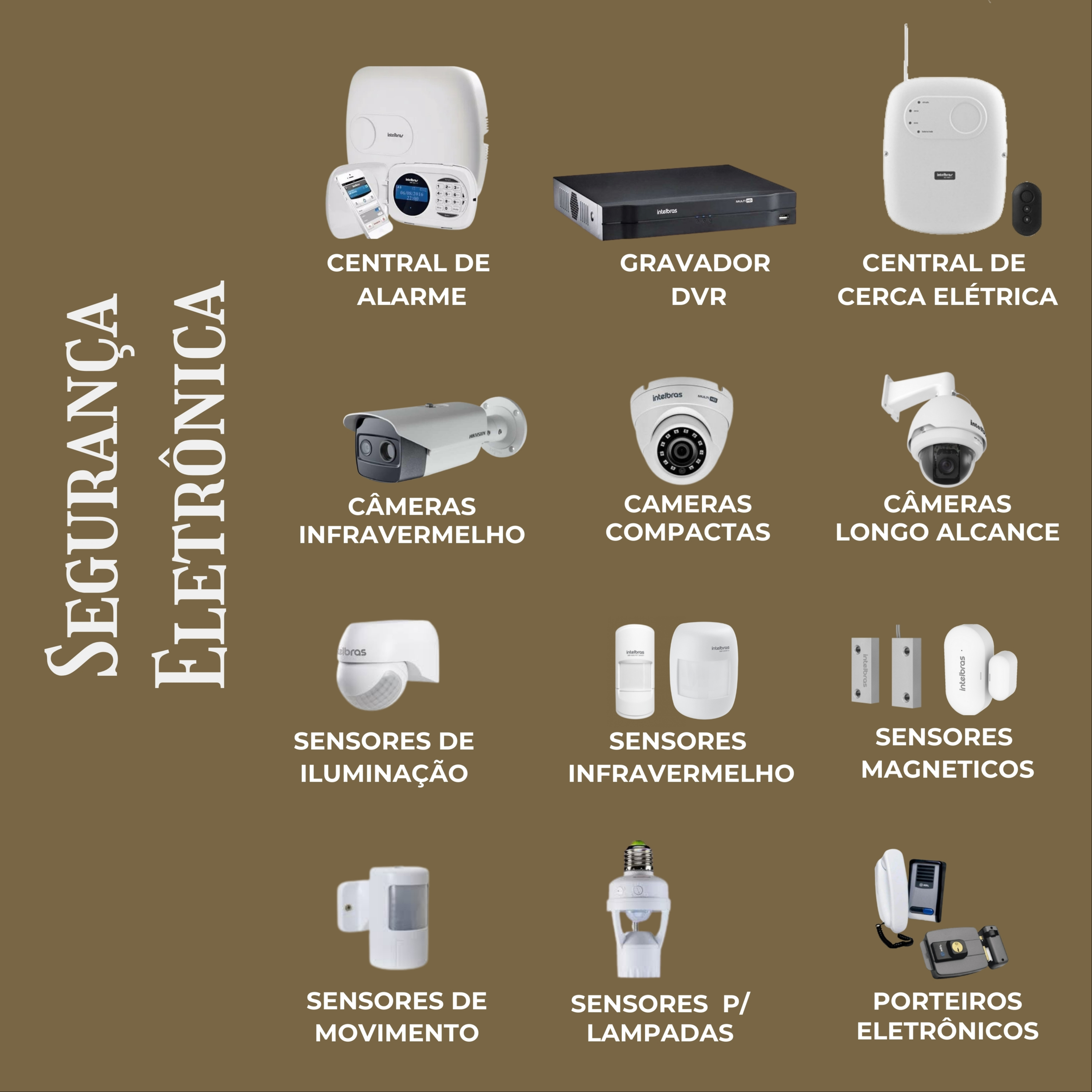 Segurança Eletrônica