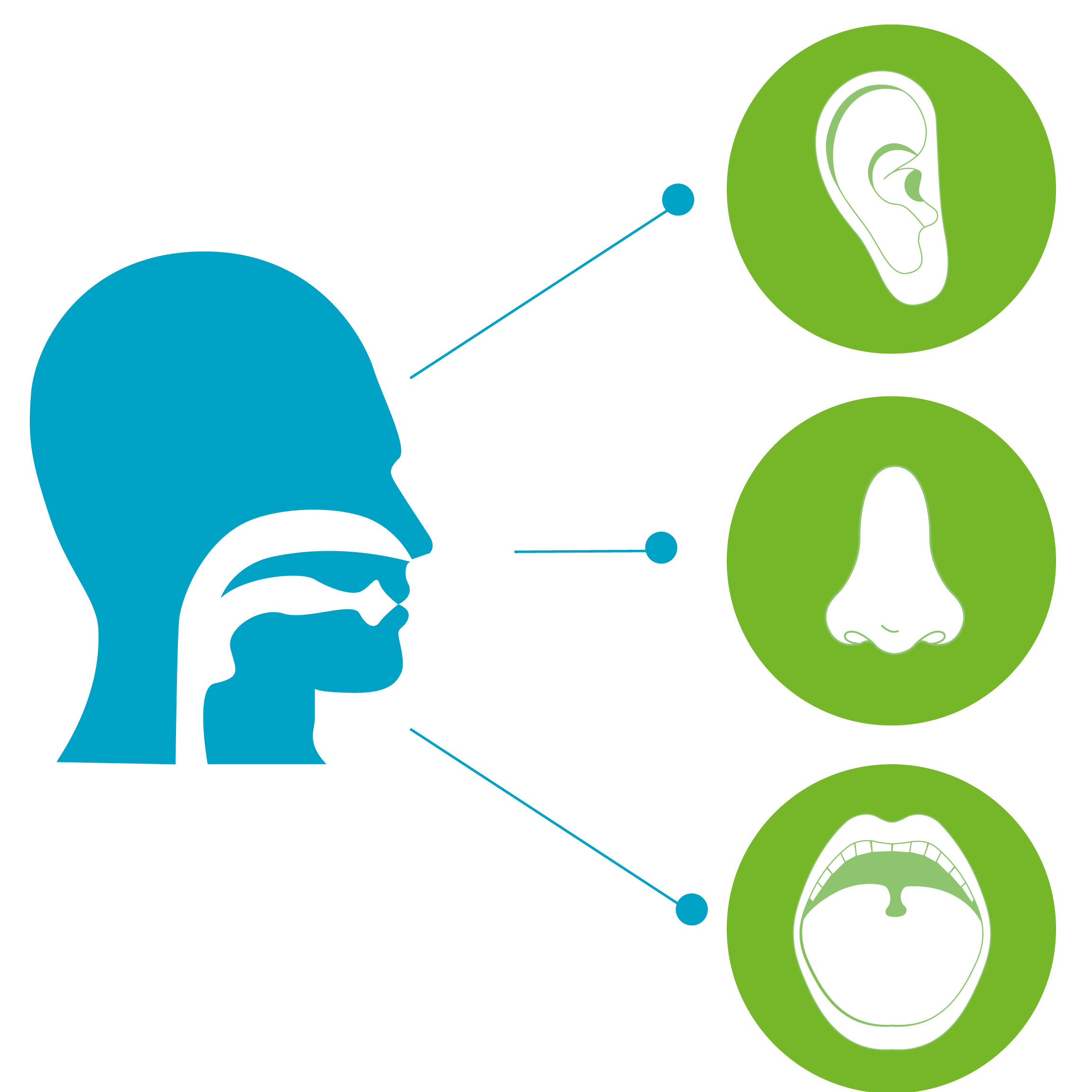 Visita ORL di controllo